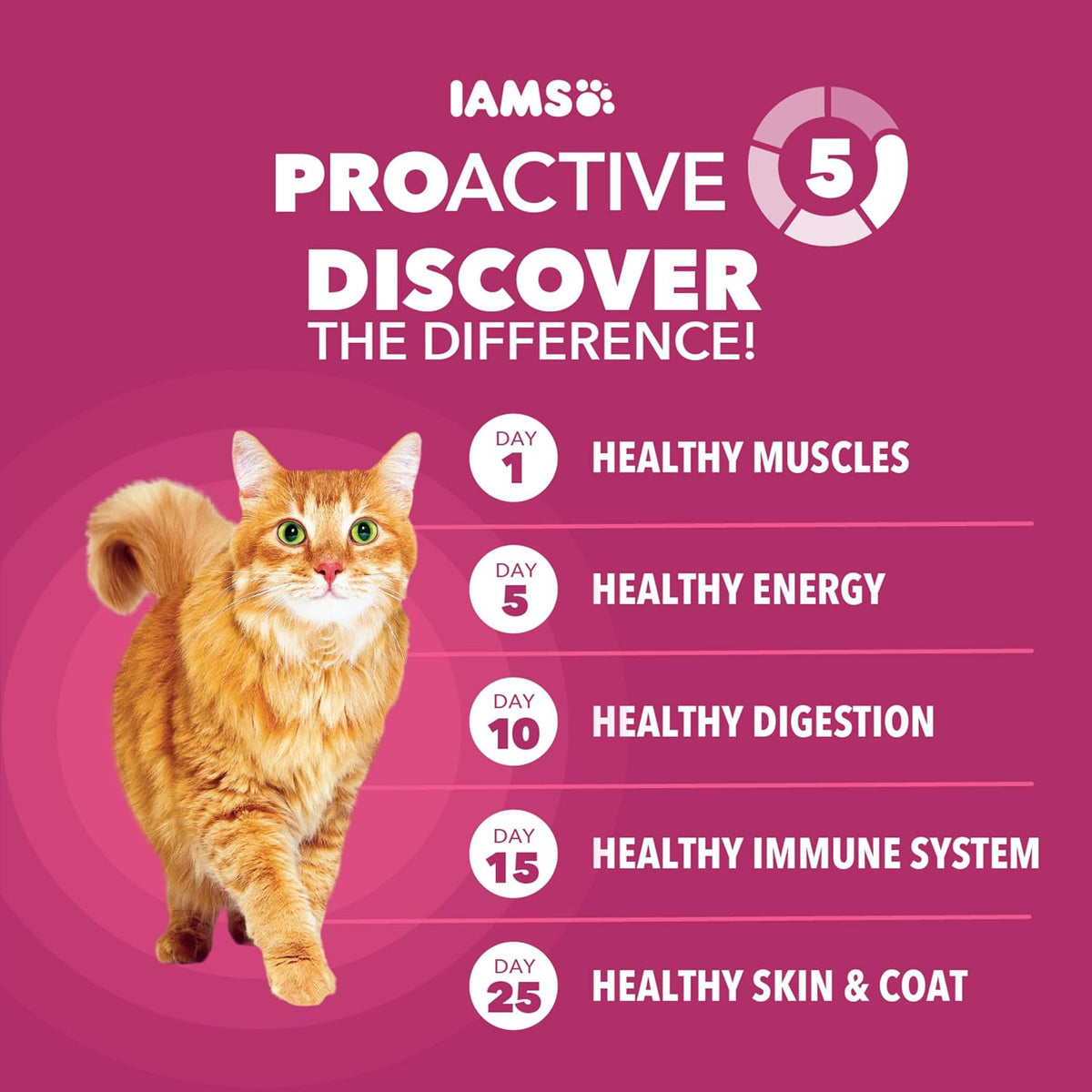 Proactive Health Urinary Tract Health Dry Cat Food, Chicken, 16 Lb