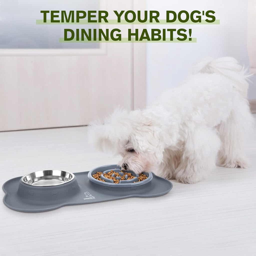 Slow Feeder Dog Bowls to Slow down Eating, Dog Slow Feeder Bowl