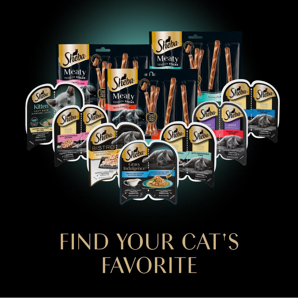 Meaty Tender Sticks Soft Cat Treats, Salmon Flavor, 5 Count, 10 Pack