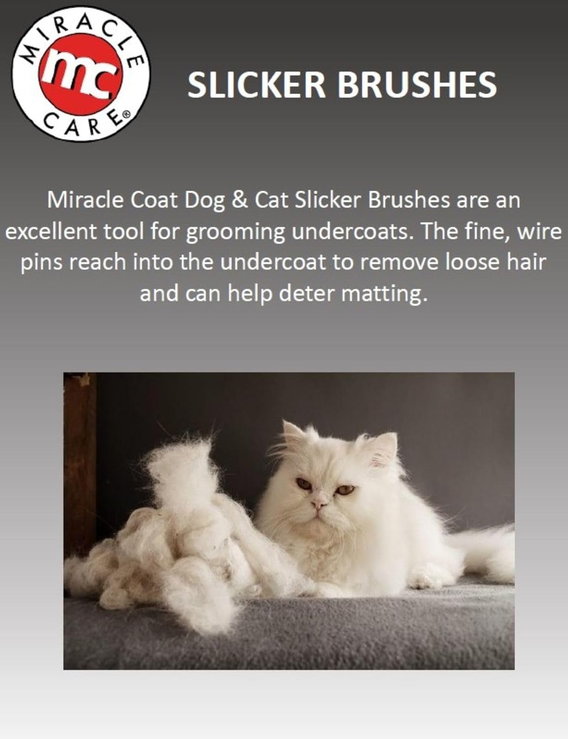 Large Slicker Brush for Large Dogs