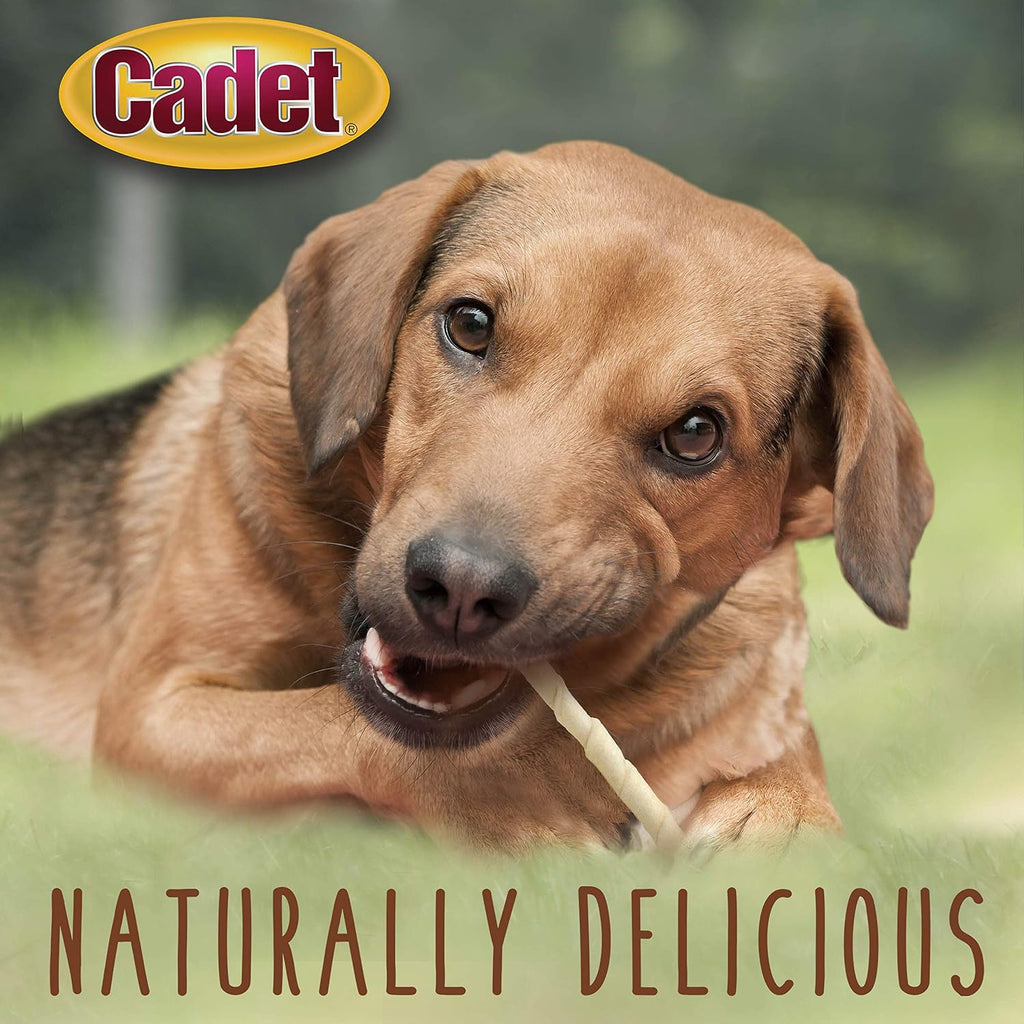 Premium Grade Beef Hide Twist Sticks Dog Chews, 34 Count, 5"