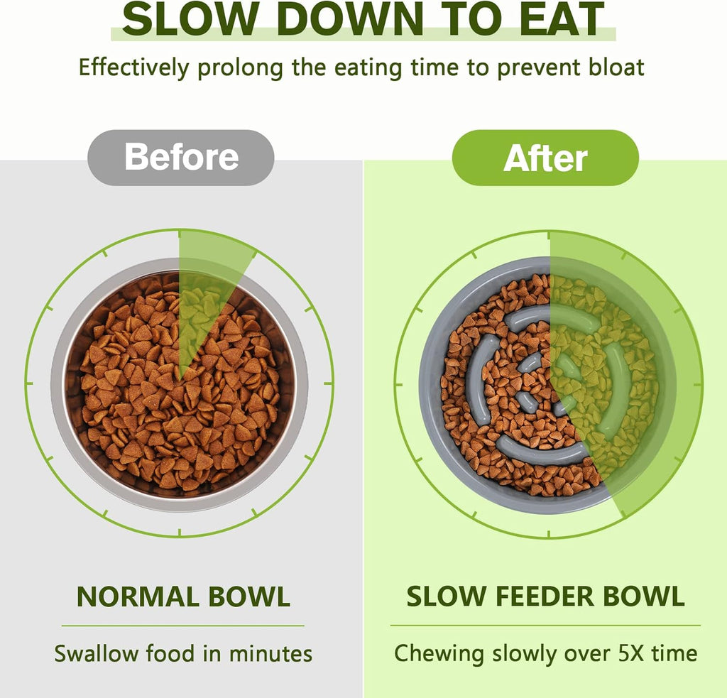Slow Feeder Dog Bowls to Slow down Eating, Dog Slow Feeder Bowl