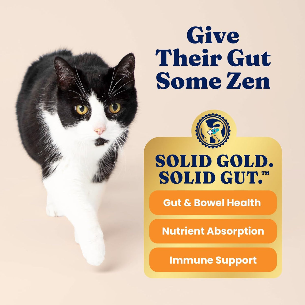 Indoor Chicken Dry Cat Food High Fiber, Adult & Senior Cats 12LB